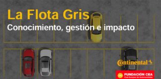 Flotas grises: el 80% de los trabajadores que las usan desconocen su existencia