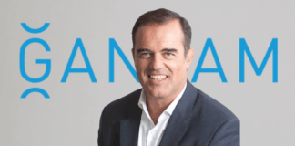 Las nuevas fórmulas de acceso al vehículo crecen mientras las compras de particulares caen nueve puntos en 10 años